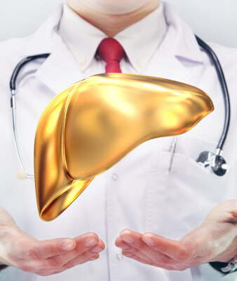 a healthy liver